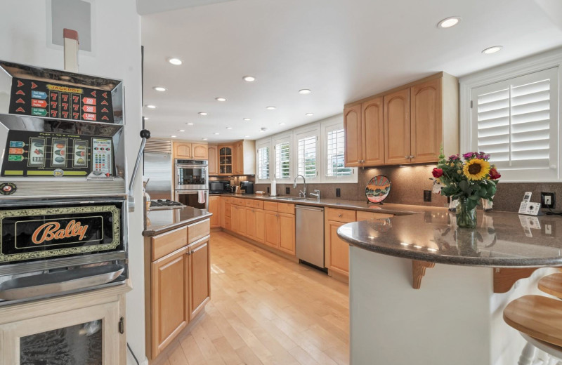 Rental kitchen at Woodfield Properties.