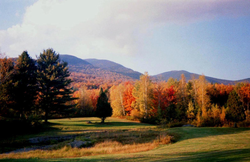 Golf course near English Rose Inn.