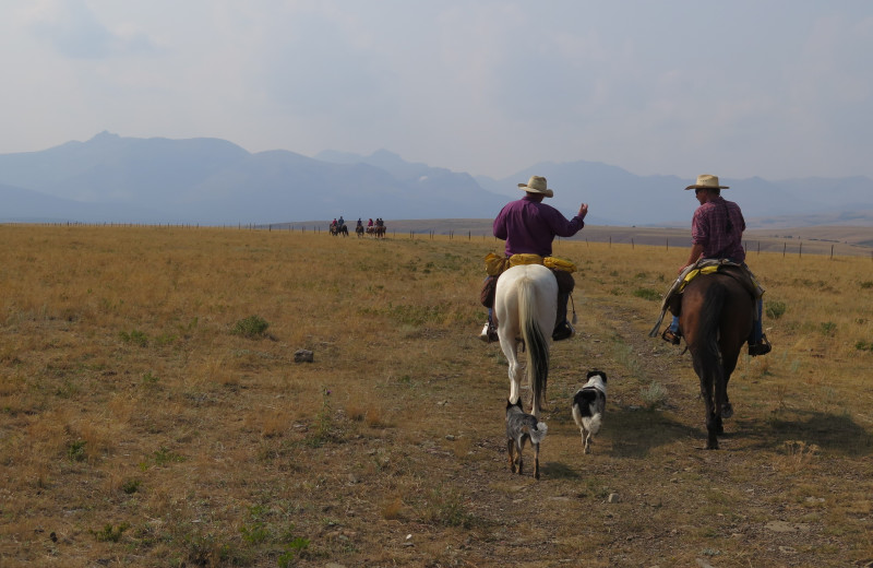 Horseback riding at Bear Creek Ranch.