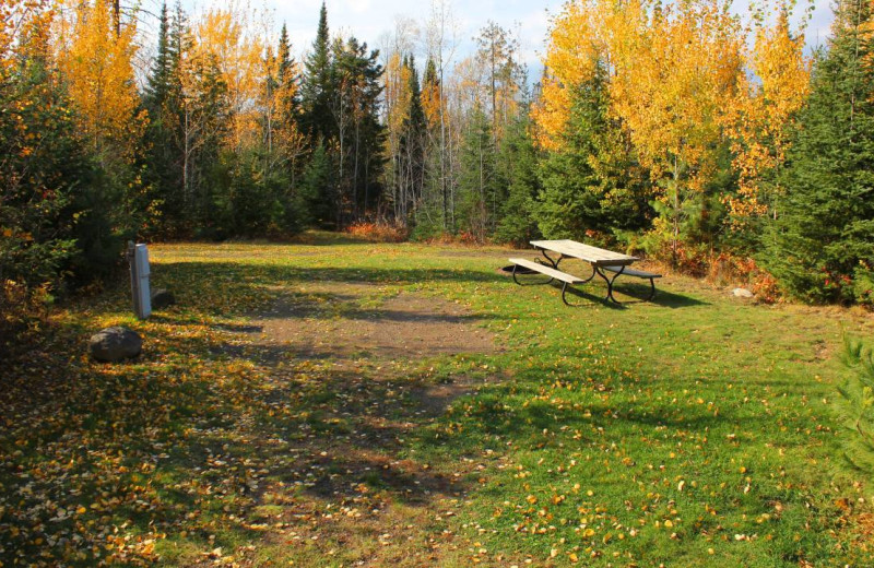 Campground at Golden Eagle Lodge.