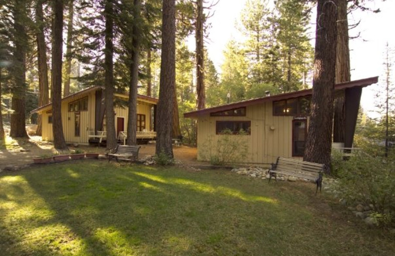 Cabin exterior view at Tahoma Lodge.