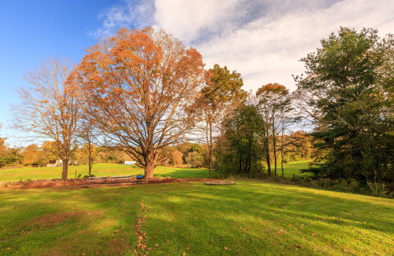 Grounds at Meadowbrook Estate.