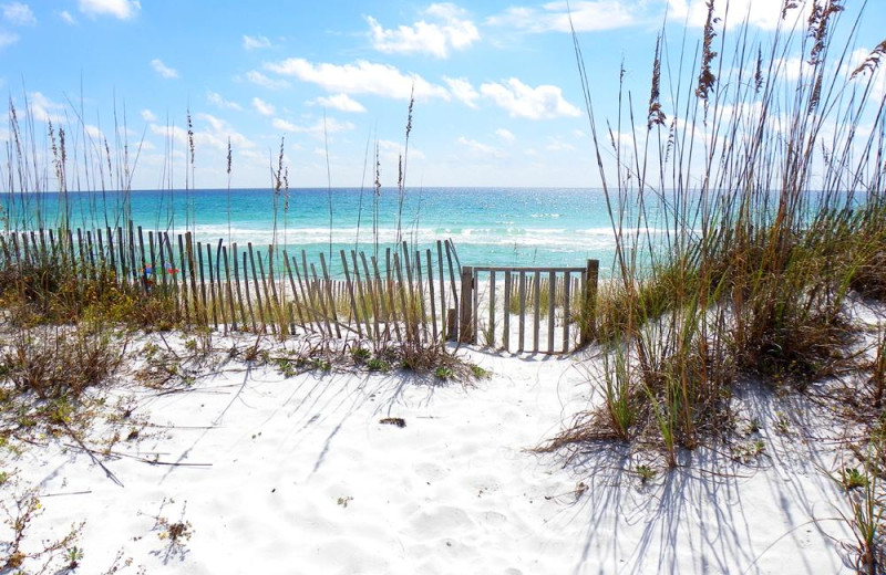 paradise beach florida