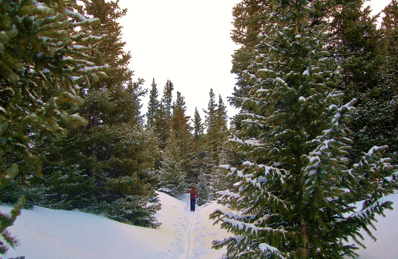 Lose yourself in the mountains.  Get away from it all and take in the beauty of Breckenridge.