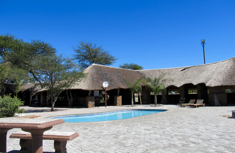 Exterior view of Elephant Sands Safari Lodge.