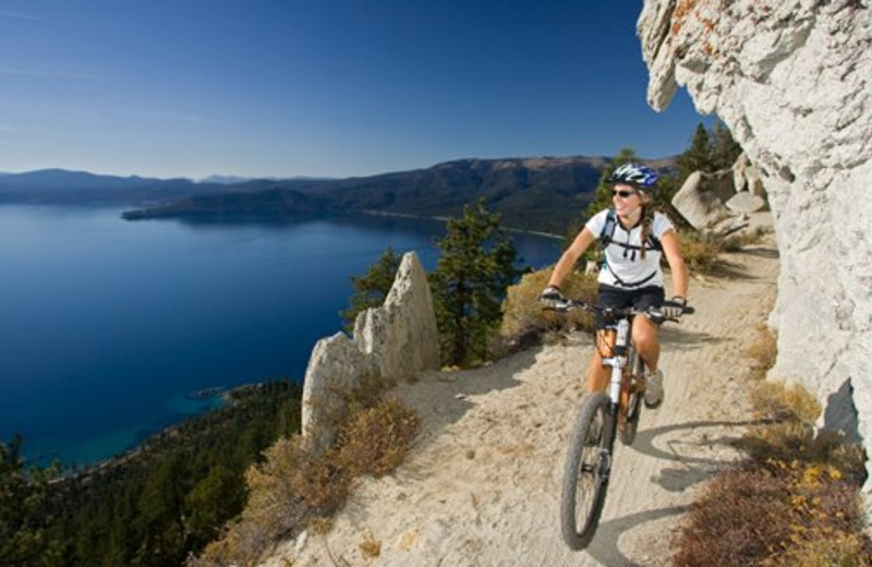 Biking at Forest Suites Resort 