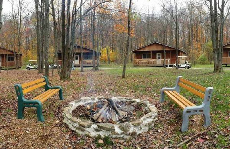 Fire pit at The Woods At Bear Creek Glamping Resort.