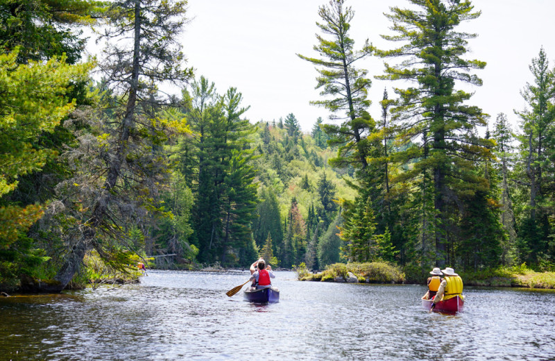 Kayaking at Wolf Den Hostel and Nature Retreat.