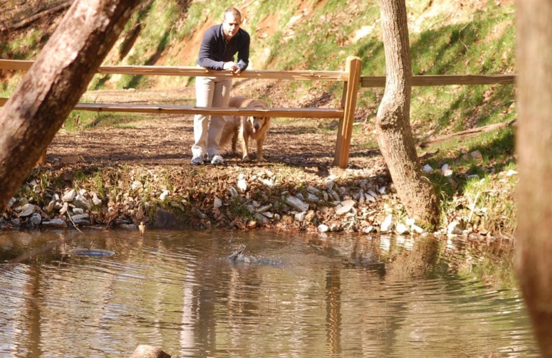 Stream at Watershed Resort.