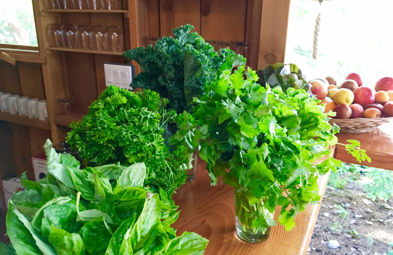 Fresh greens at Cabana Desolation Eco Resort.