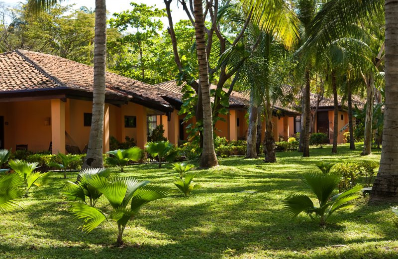 Exterior View at Barcelo Montelimar Beach Resort