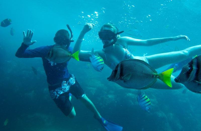 Underwater Activities at Pueblo Bonito Los Cabos