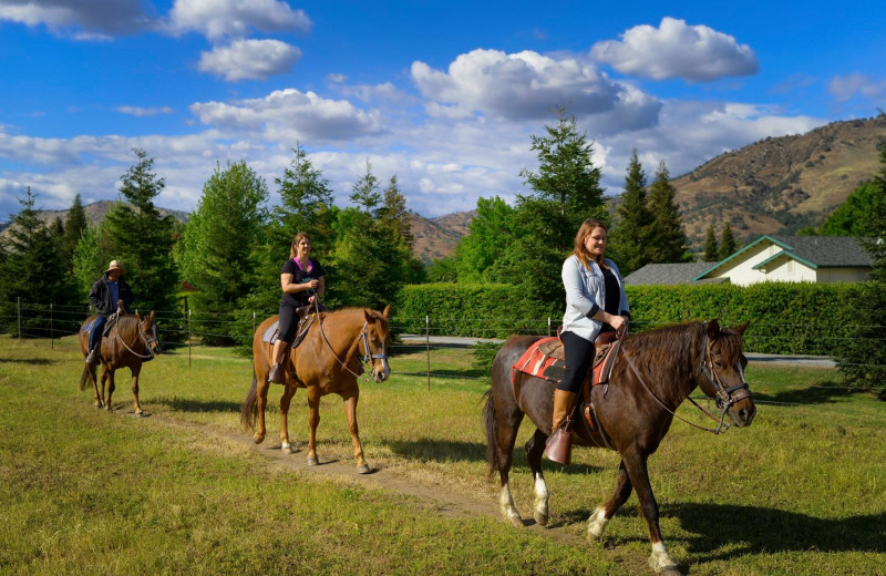 Horseback riding at Wonder Valley Ranch Resort.