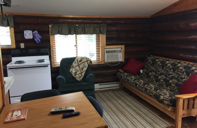Cabin living room at Blackduck Lodge & Resort.
