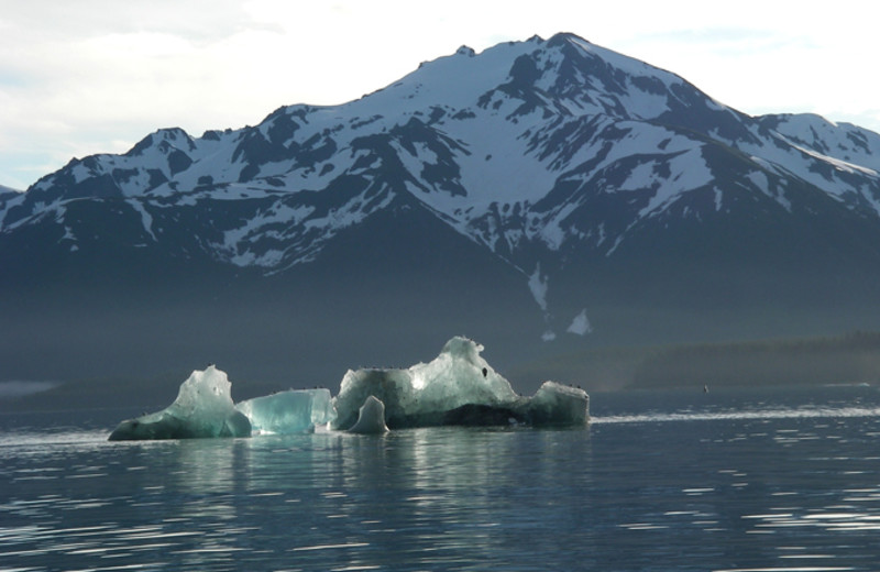 Glaciers at Glacier Bear Lodge.