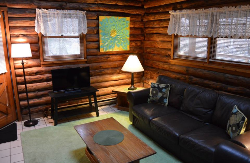 Rental living room at Stay Waterfront - Cheat River Lodge & Cabins.