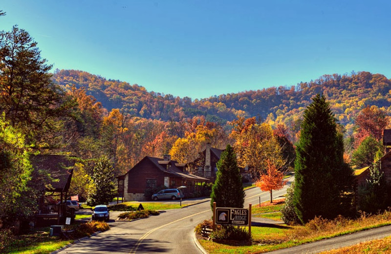 Cabins at Eagles Ridge Resort.