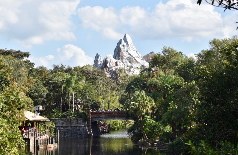 Disney Animal Kingdom near Vacation Pool Homes.