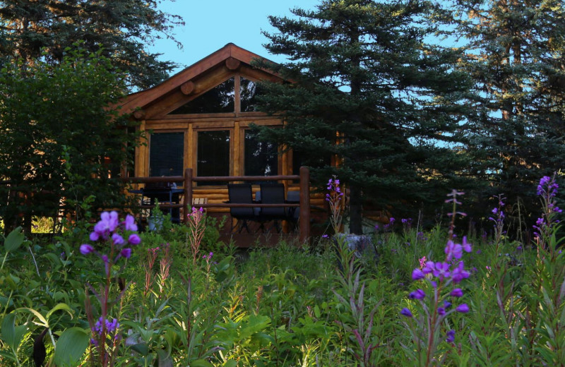 Cabin exterior at Bear Paw Adventure.