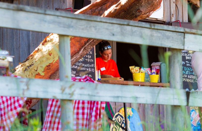Dining at Tigh-Na-Mara Resort.