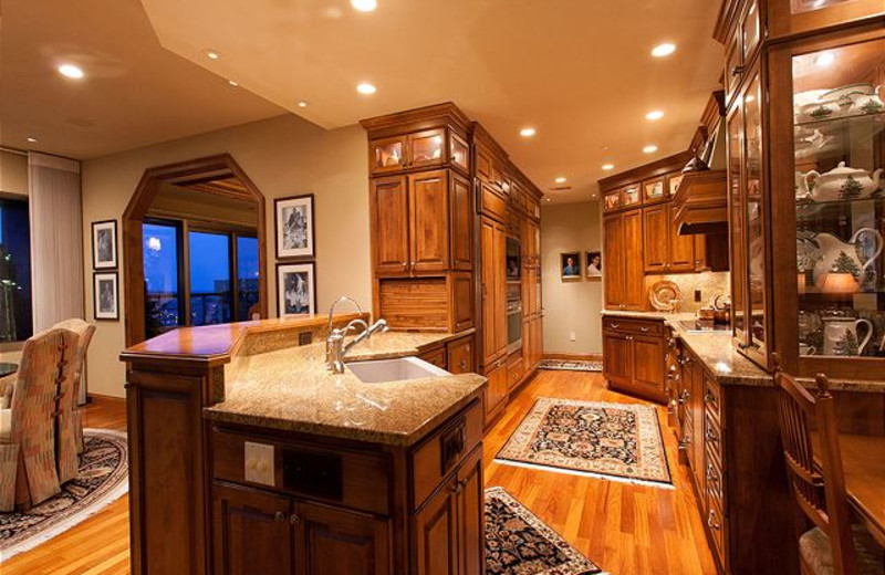 Rental kitchen at The Conger Collection.