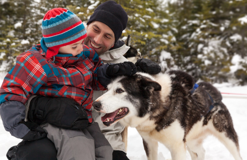 Dogsled at Fairmont Le Manoir Richelieu.