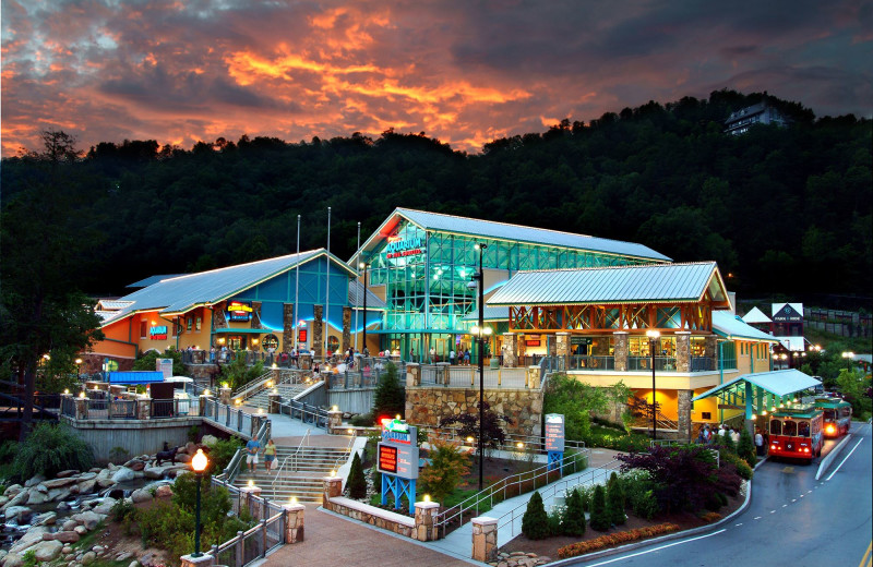 Aquarium near Chalet Village.