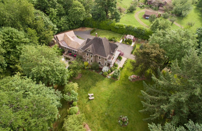 Aerial view of Dundee Manor Bed 