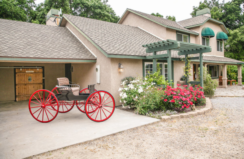 Exterior view of The Eden House Vineyard Bed 