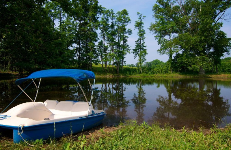 Pond at Southern Grace Bed & Breakfast.