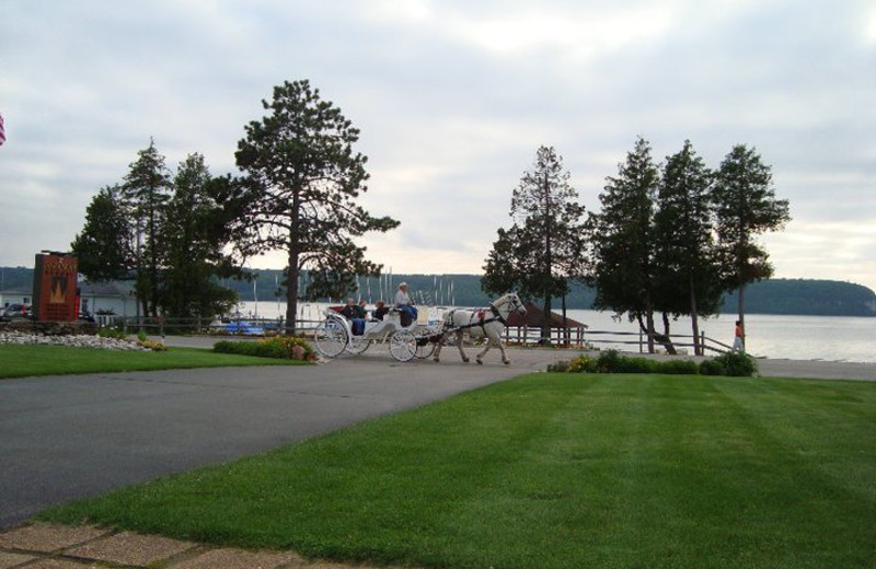 Horse carriage at  Pine Grove Resort.