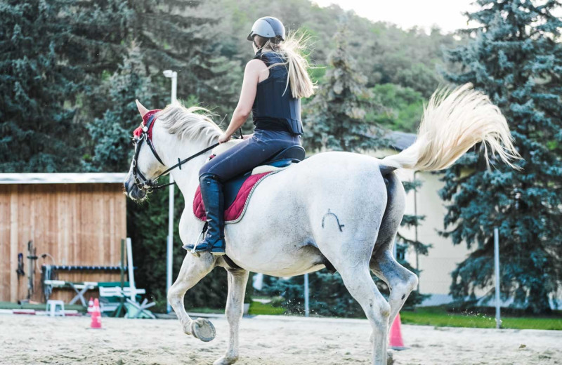 Horse back riding at Owl's Nest Resort & Golf Club.