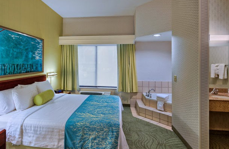 Guest room at SpringHill Suites San Diego Rancho Bernardo/Scripps Poway.
