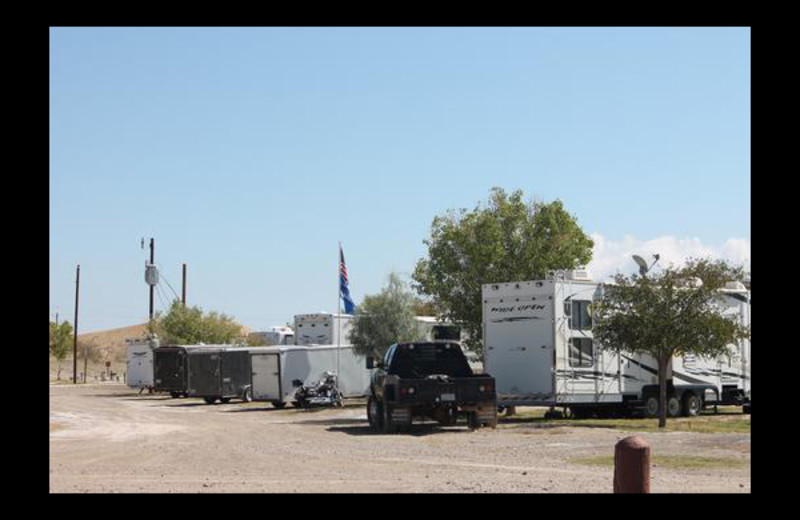 RV campground at Big Bend Resort & Adventures.