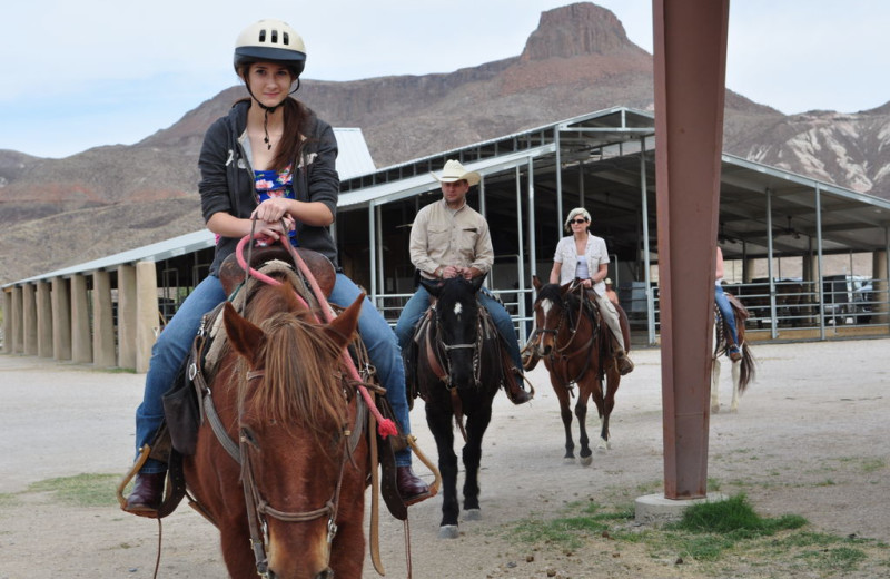 Riding horses at Lajitas Resort.