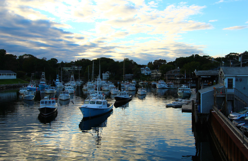 Marina at Mariner Resort.