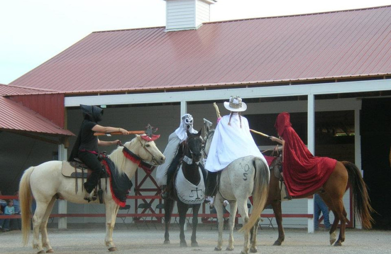 Shows at A Tennessee Guest Ranch.