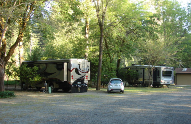 RV campground at Giant Redwoods RV Park & Camp.