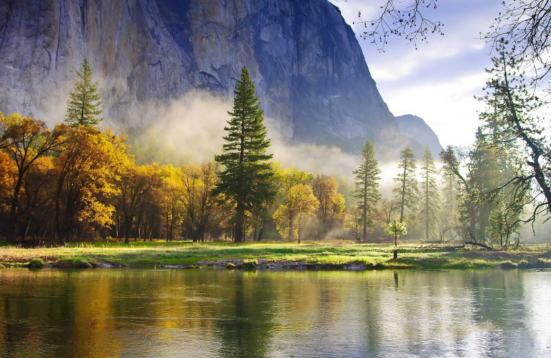 Scenic view near Yosemite's Scenic Wonders.