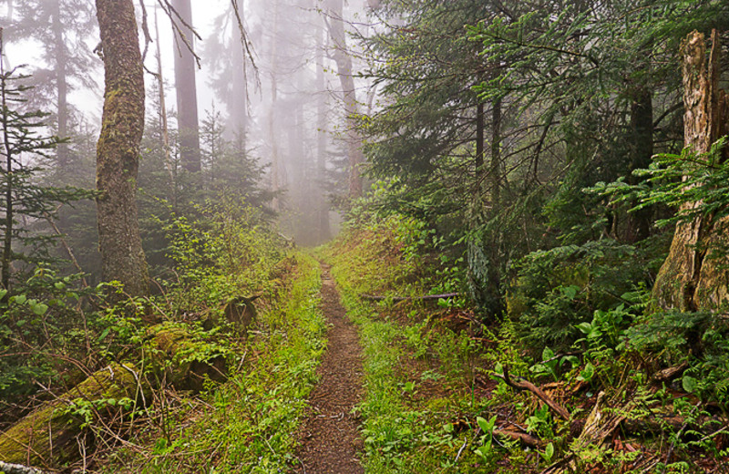 Hiking at Old Creek Lodge.