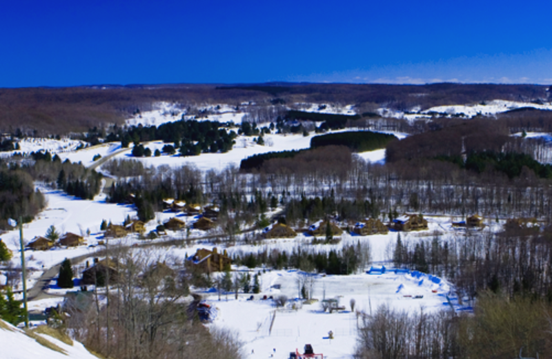 Shanty Creek Resorts (Bellaire, MI) - Resort Reviews - ResortsandLodges.com