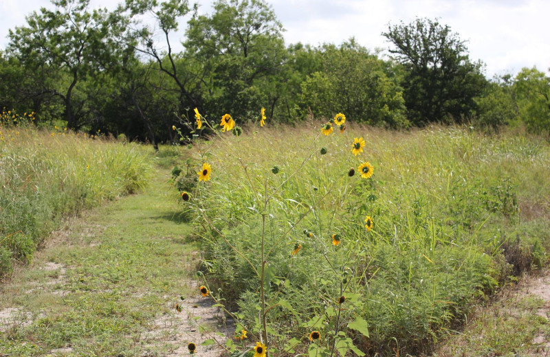 Cooper Spring Nature Park near BEST WESTERN Plus Lampasas.