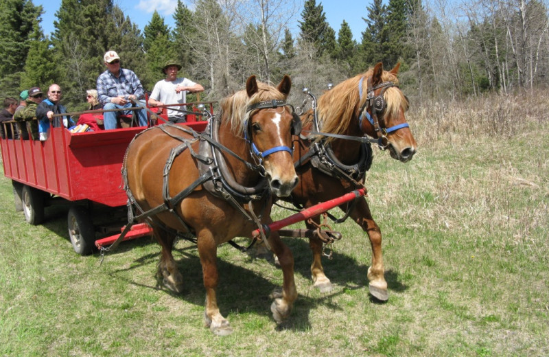 Wagon rides at Trailhead Ranch.