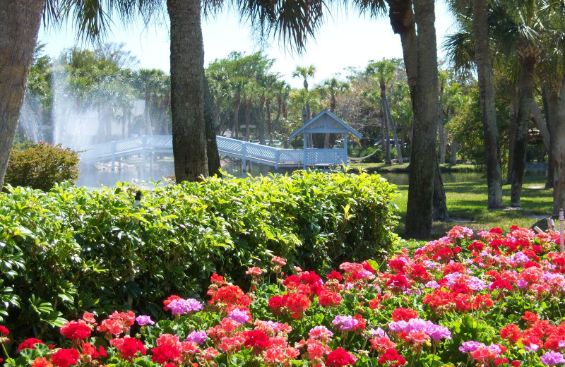 Garden at Casa Ybel Resort.