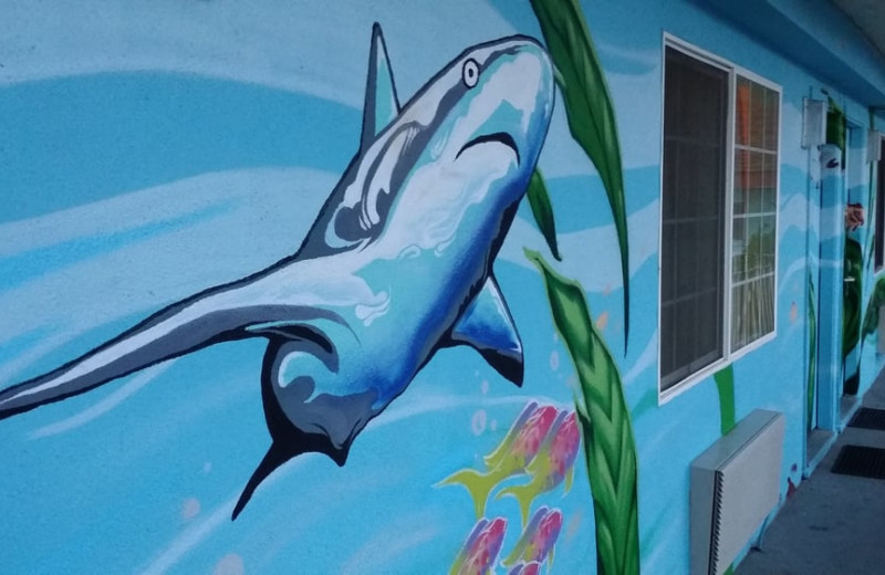 Shark mural at Aqua Breeze Inn.