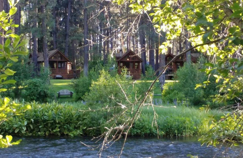 Exterior view of Cold Springs Resort.