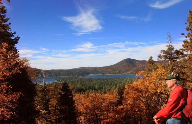 Hiking at Arrowhead Pine Rose Cabins.