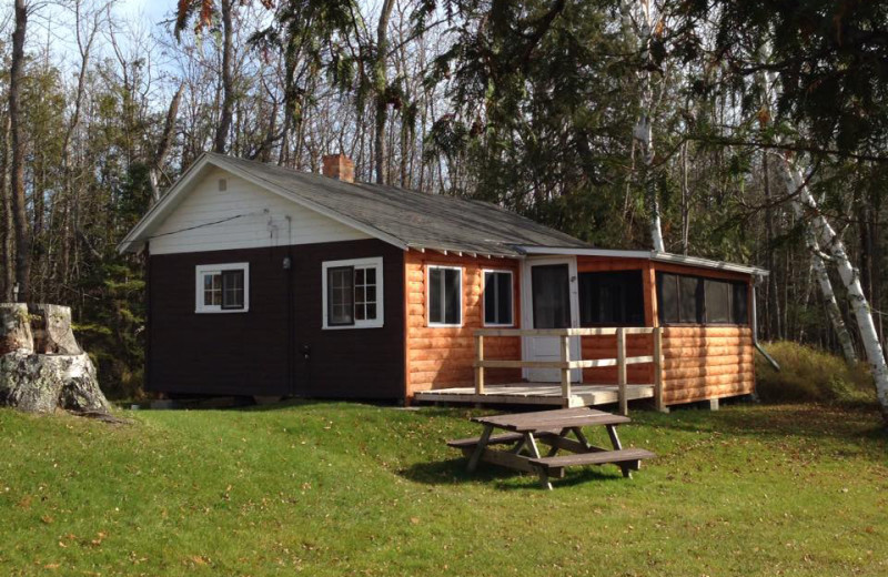 Cabin exterior at Cedarwild Resort.