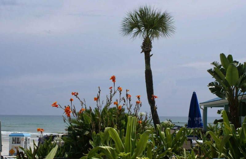 Exterior view of Daytona Shores Inn and Suites.