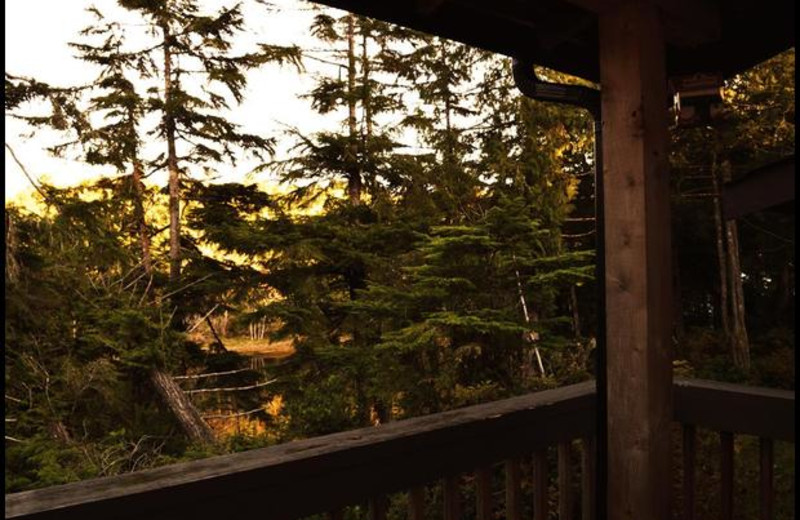 View from deck off kitchen at Sutton Cottage.